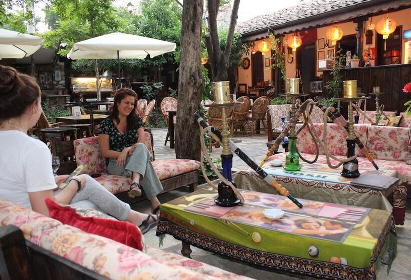 فندق Boomerang Guest House