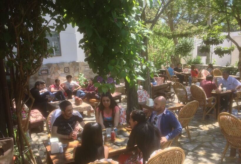 فندق Boomerang Guest House