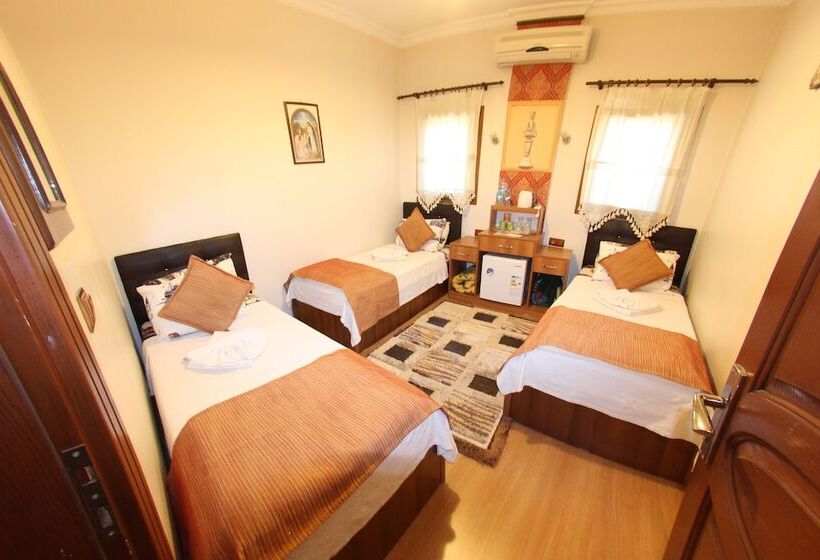 فندق Boomerang Guest House