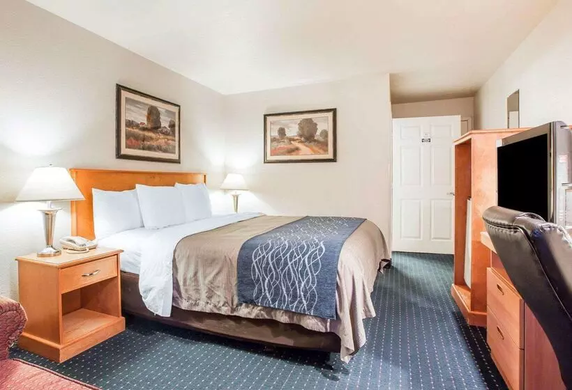 Отель Comfort Inn & Suites Salinas