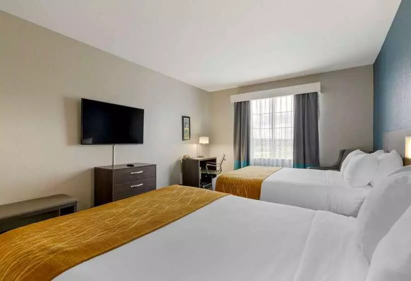 בית מלון כפרי Comfort Inn & Suites Selma Near Randolph Afb