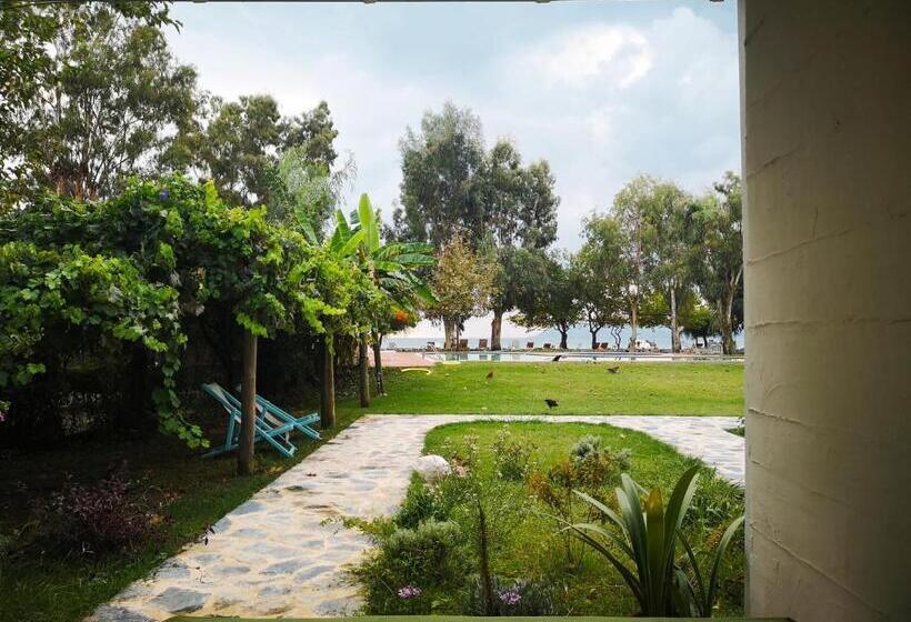 فندق Yonca Lodge