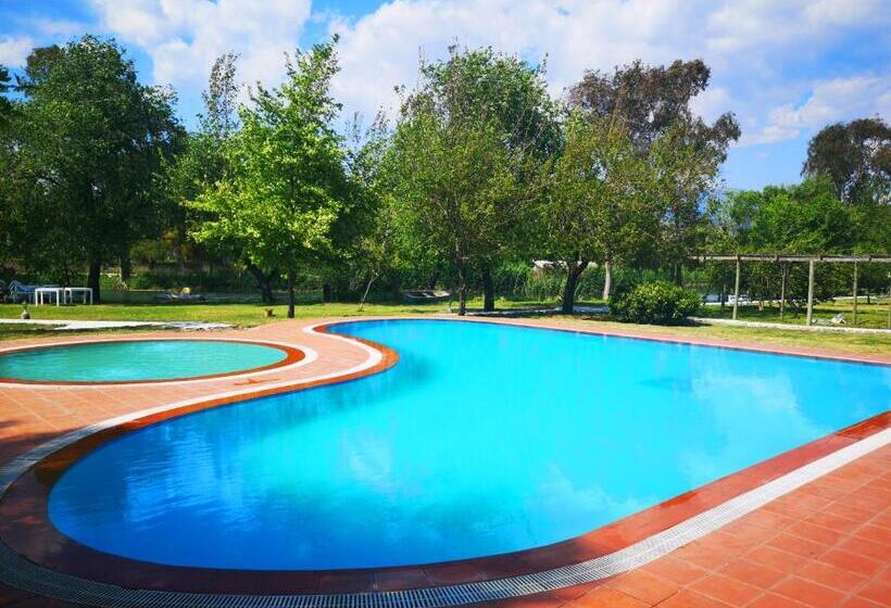 فندق Yonca Lodge