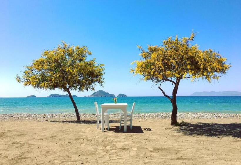 فندق Yonca Lodge