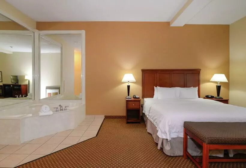 Отель Hampton Inn & Suites Detroit/chesterfield Township