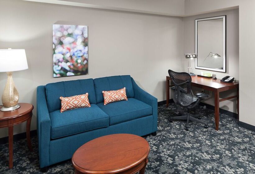 酒店 Hilton Garden Inn Frisco