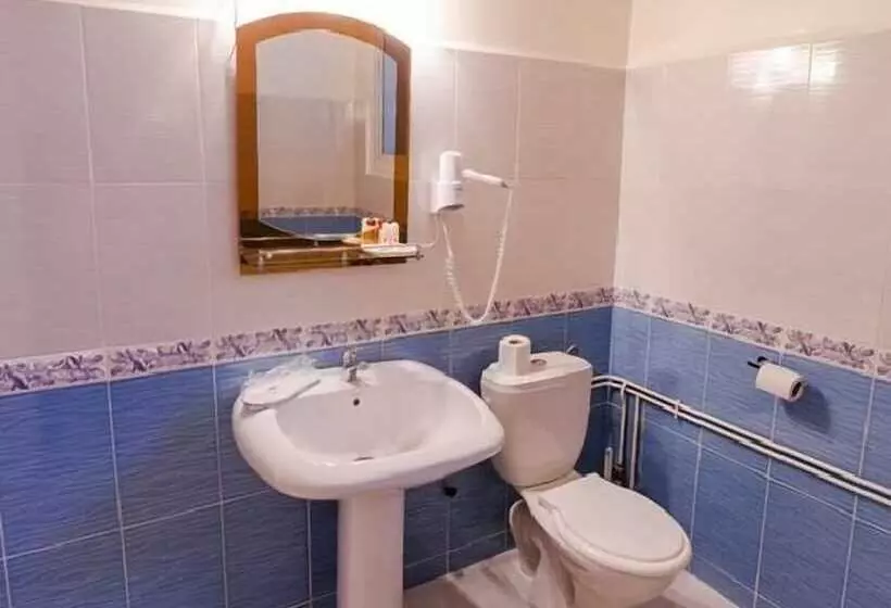 هتل Hôtel Suisse