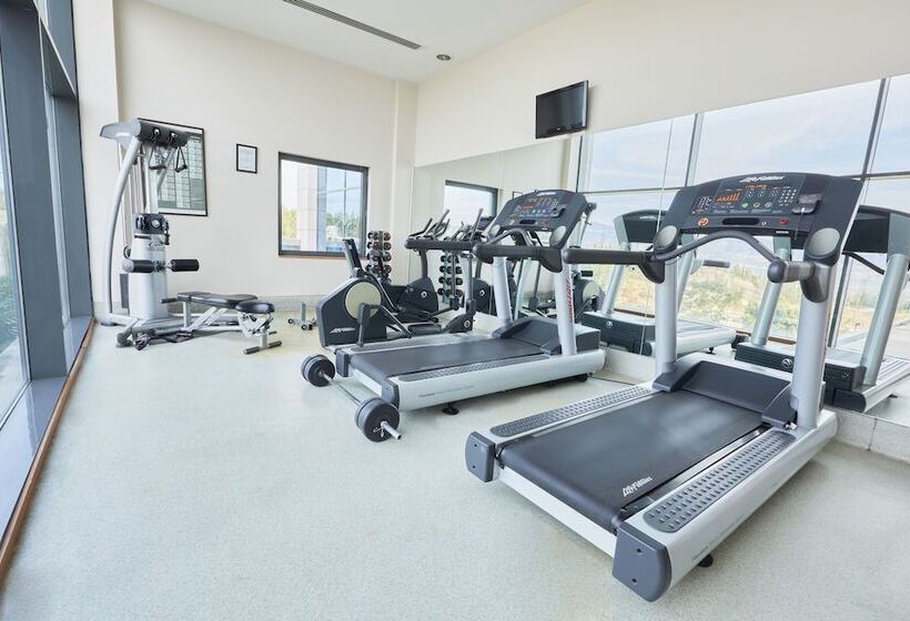 Отель Park Dedeman Denizli