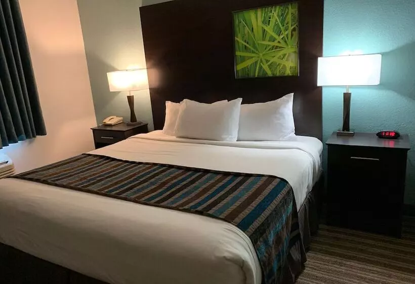 酒店 Super 8 By Wyndham Brenham Tx