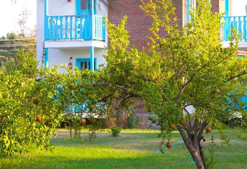 ホテル Yonca Lodge