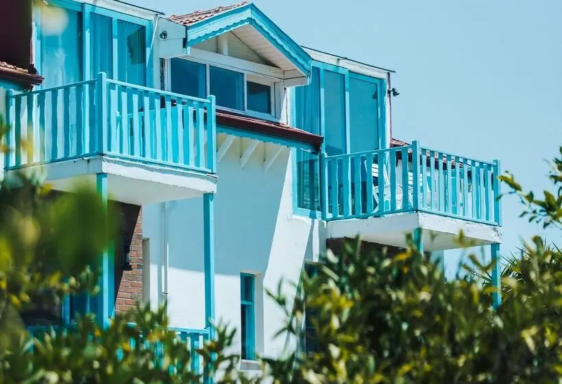 ホテル Yonca Lodge
