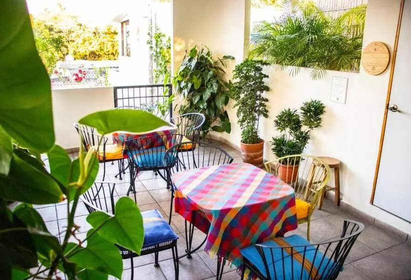 árbol De Fuego Eco Hotel, A Green Experience In The City