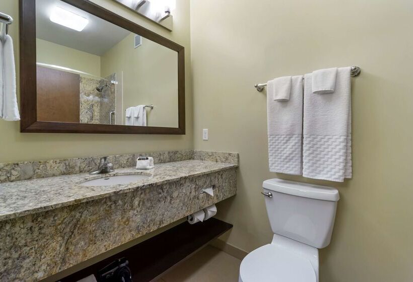 호텔 Best Western Plus Lacey Inn & Suites