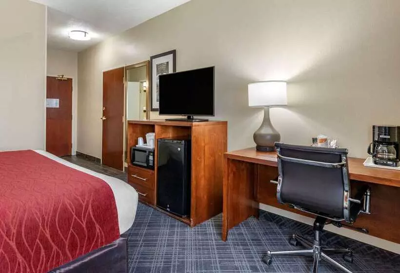 ホテル Comfort Inn Oklahoma City South   I 240