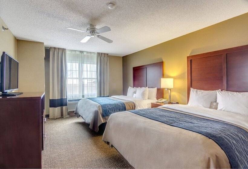 ホテル Comfort Inn & Suites Graftoncedarburg