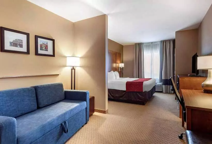 בית מלון כפרי Comfort Suites Florence Shoals Area