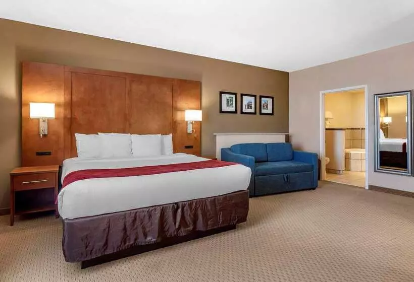 בית מלון כפרי Comfort Suites Florence Shoals Area