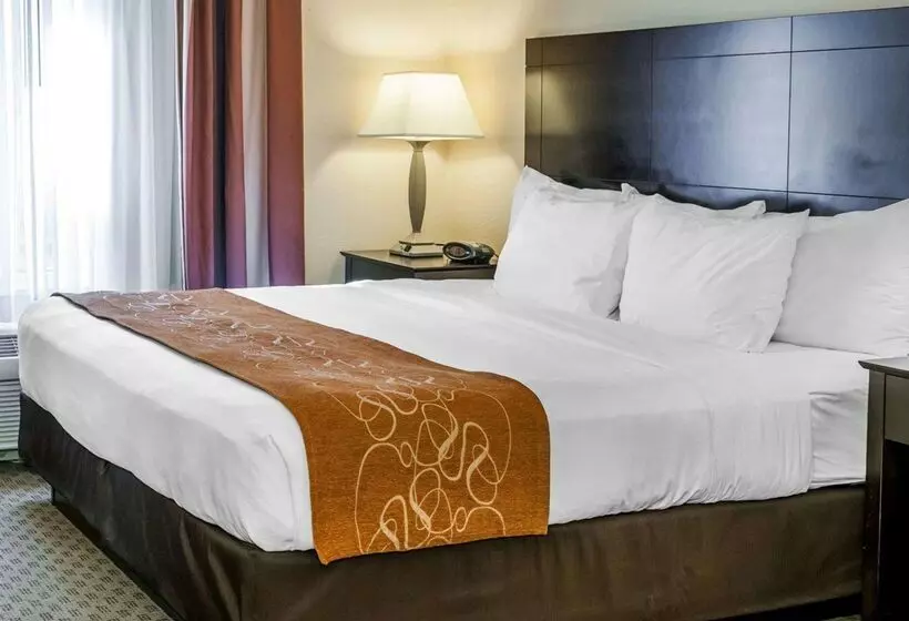 ホテル Comfort Suites French Lick