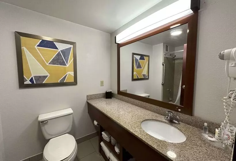 ホテル Comfort Suites Jacksoncape Girardeau