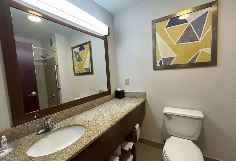 ホテル Comfort Suites Jacksoncape Girardeau