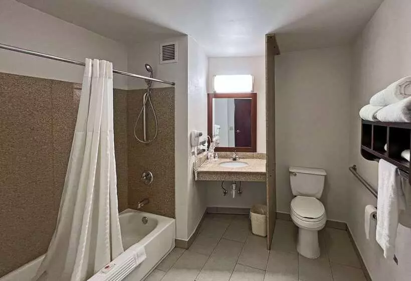 ホテル Comfort Suites Jacksoncape Girardeau