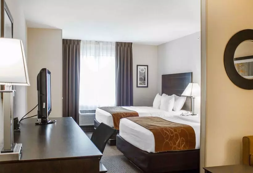 Отель Comfort Suites Lewisburg