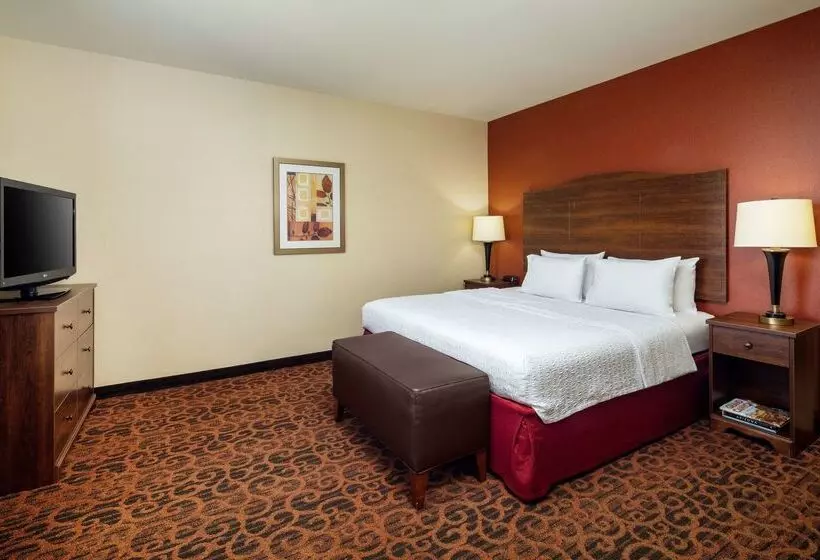 ホテル Hampton Inn & Suites Scottsdale At Talking Stick
