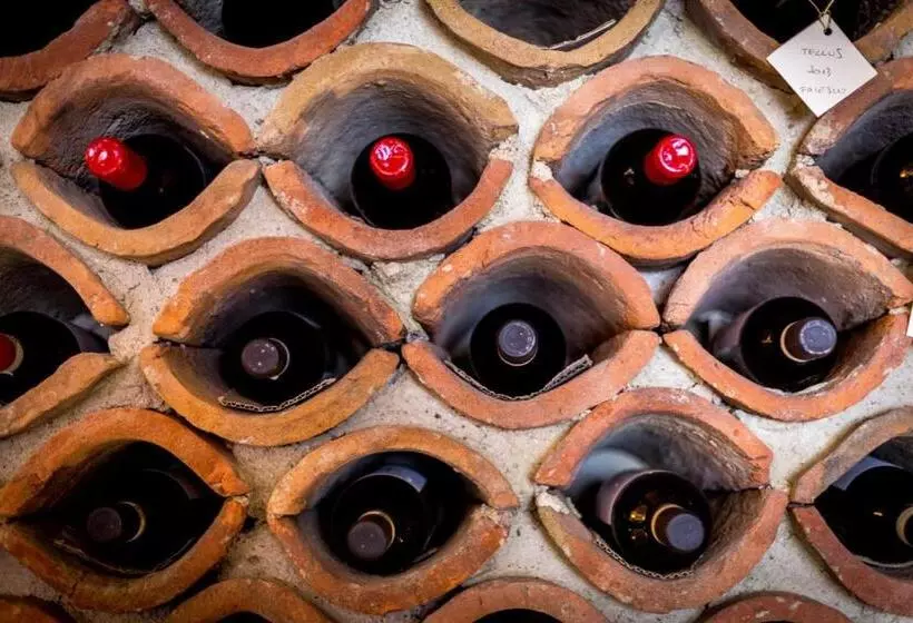 호텔 Tenuta Del Gallo