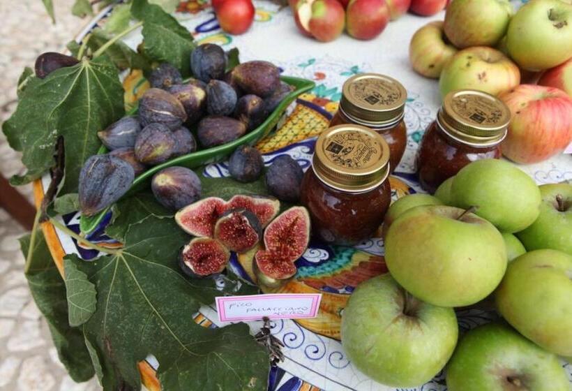 فندق Tenuta Del Gallo