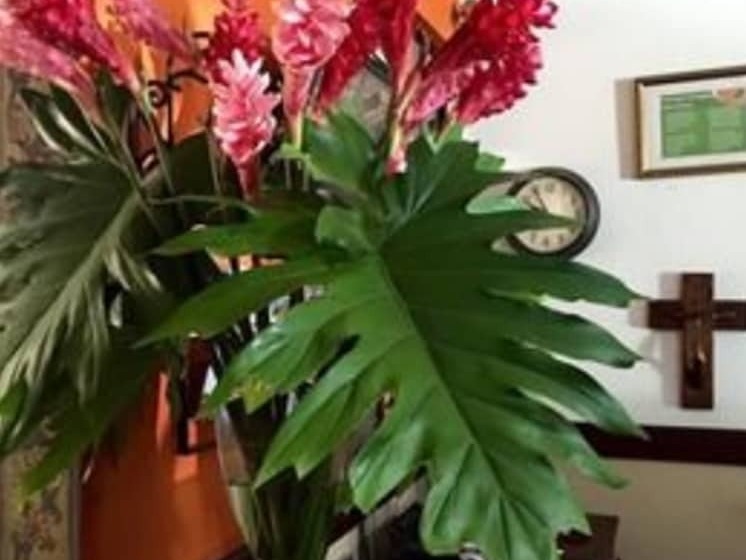 ホテル Alicante San Salvador