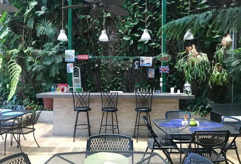 ホテル Alicante San Salvador