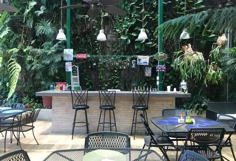 Отель Alicante San Salvador