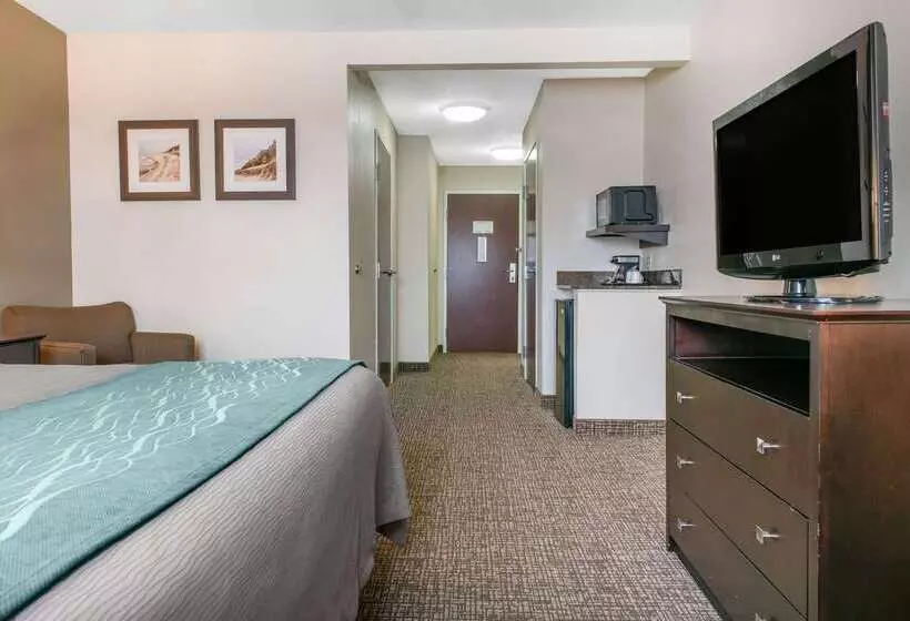 ホテル Comfort Inn & Suites Porter Near Indiana Dunes