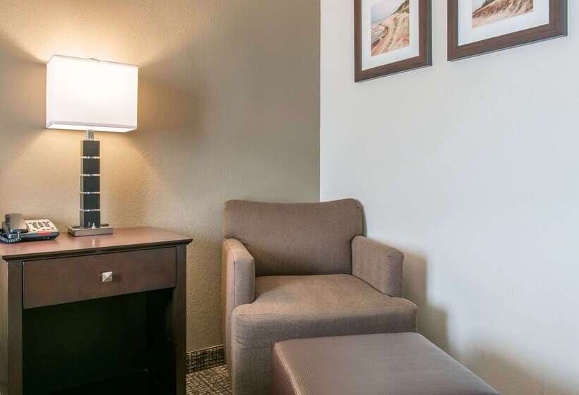 Отель Comfort Inn & Suites Porter Near Indiana Dunes