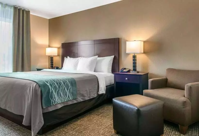 ホテル Comfort Inn & Suites Porter Near Indiana Dunes