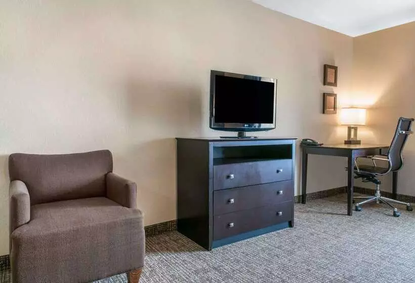 ホテル Comfort Inn & Suites Porter Near Indiana Dunes