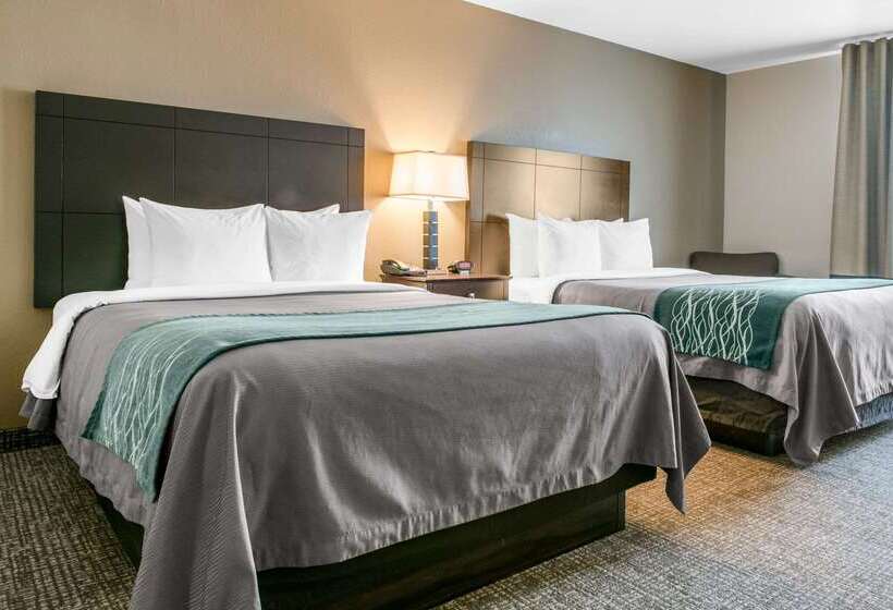 Отель Comfort Inn & Suites Porter Near Indiana Dunes