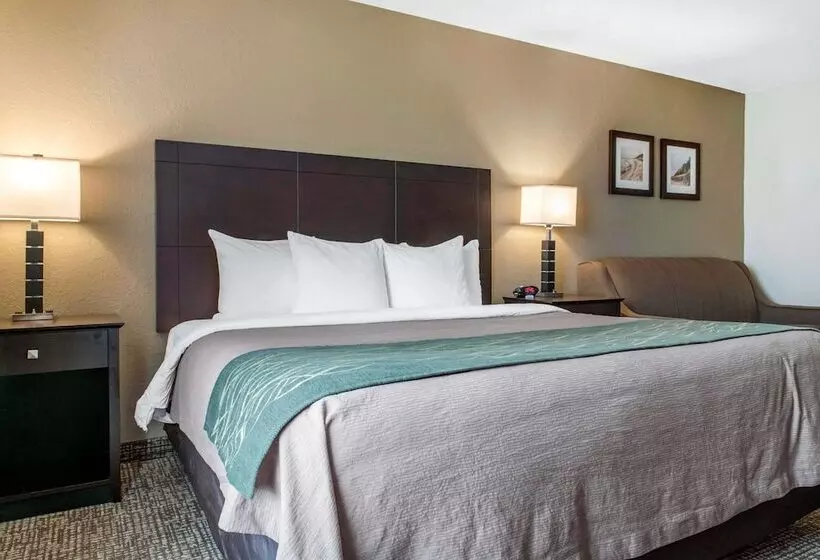 ホテル Comfort Inn & Suites Porter Near Indiana Dunes