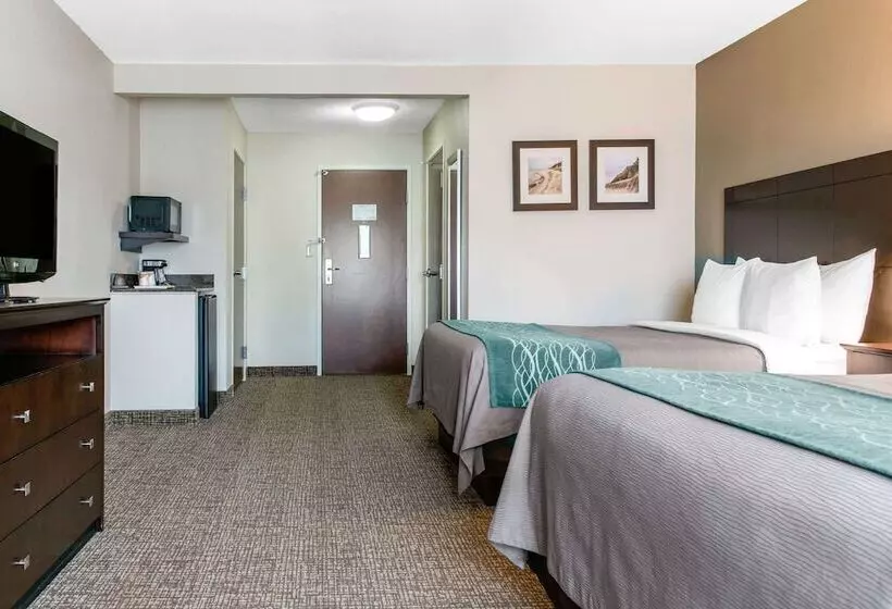 ホテル Comfort Inn & Suites Porter Near Indiana Dunes