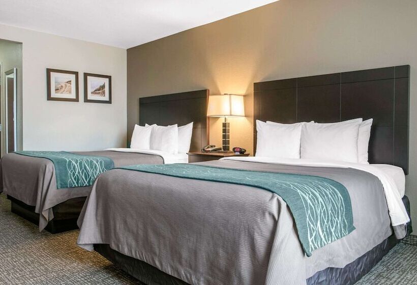 Отель Comfort Inn & Suites Porter Near Indiana Dunes