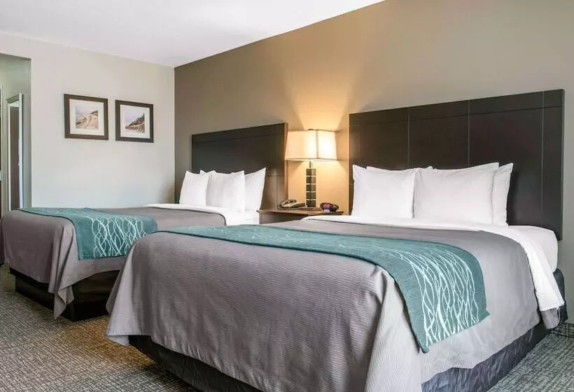 ホテル Comfort Inn & Suites Porter Near Indiana Dunes