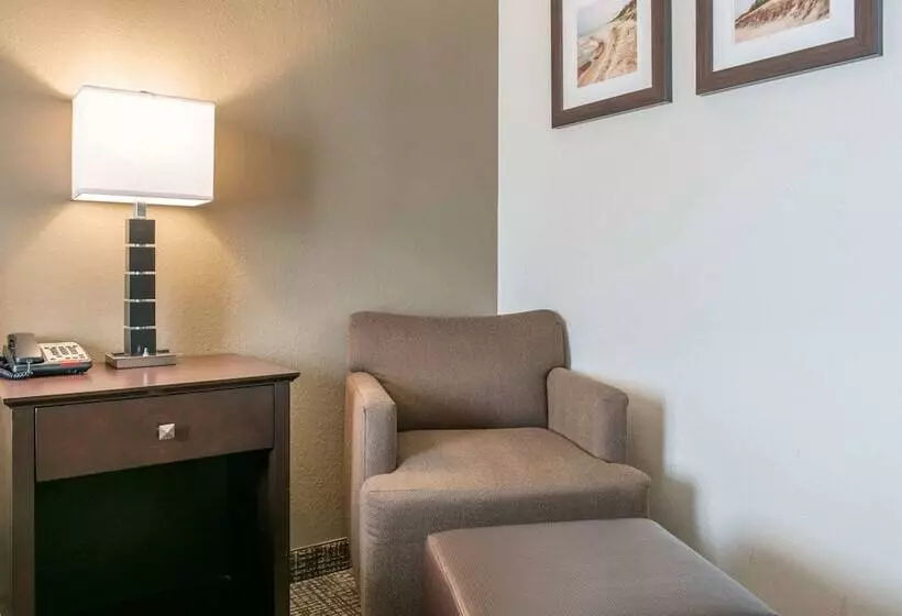 ホテル Comfort Inn & Suites Porter Near Indiana Dunes