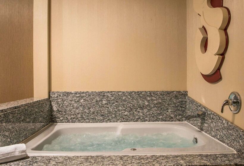 فندق Comfort Suites