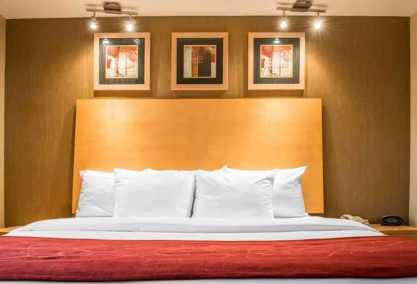 호텔 Comfort Suites