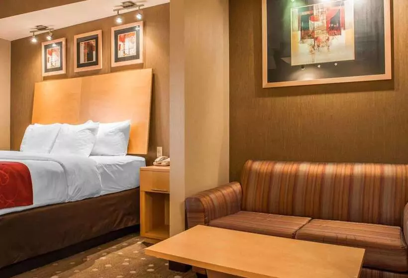 호텔 Comfort Suites