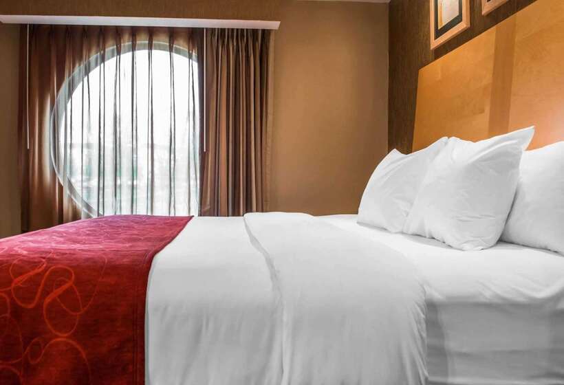 فندق Comfort Suites