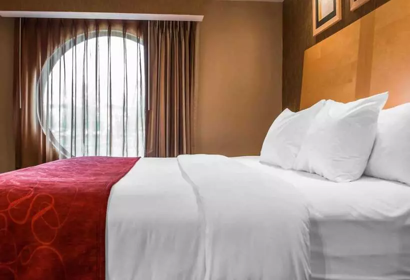 호텔 Comfort Suites