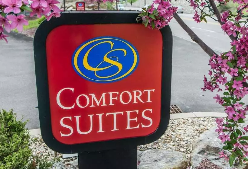 호텔 Comfort Suites