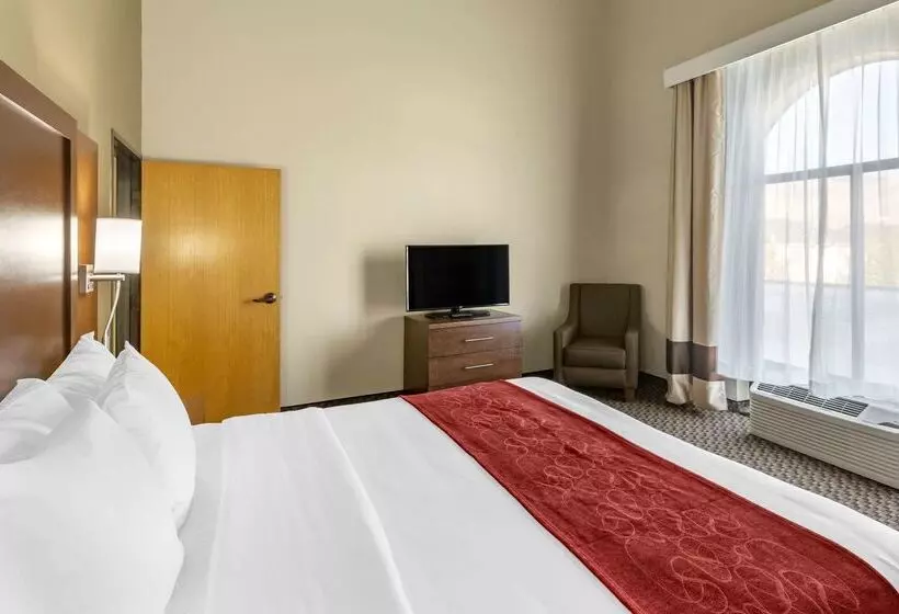 Отель Comfort Suites Ogden Conference Center