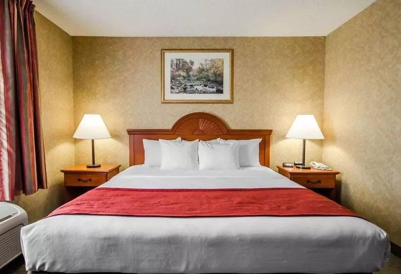 호텔 Quality Inn & Suites Rockport   Owensboro North